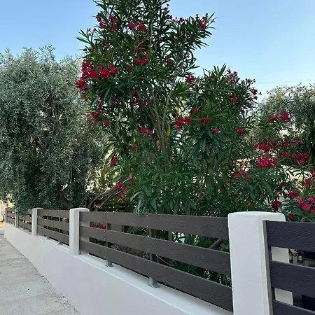 Valia House Thassos アパート Skála Kallirákhis