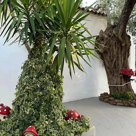 Valia House Thassos Skála Kallirákhis