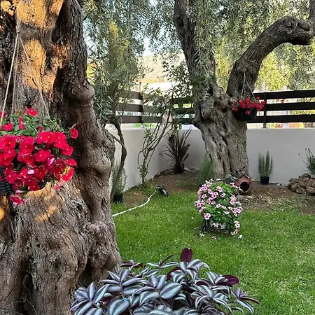 Valia House Thassos