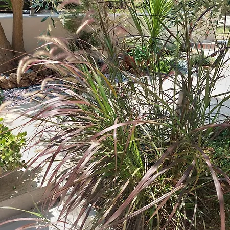 Valia House Thassos Daire Skála Kallirákhis