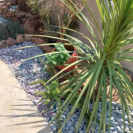 Daire Valia House Thassos