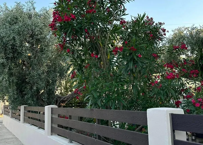 Valia House Thassos Daire Skála Kallirákhis