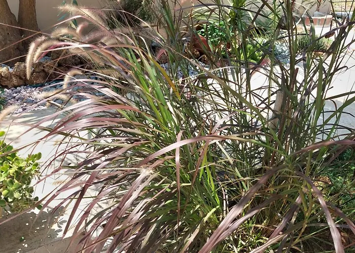 Valia House Thassos Daire Skála Kallirákhis