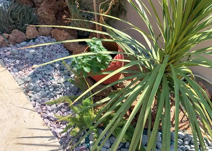 Daire Valia House Thassos